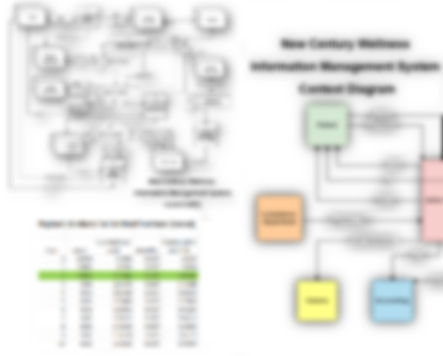 New Century Wellness Group — Systems Analysis Capstone