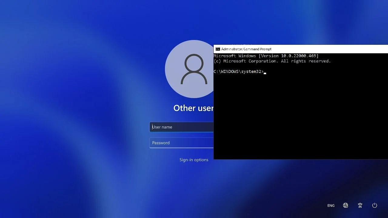 Password Removal Service
